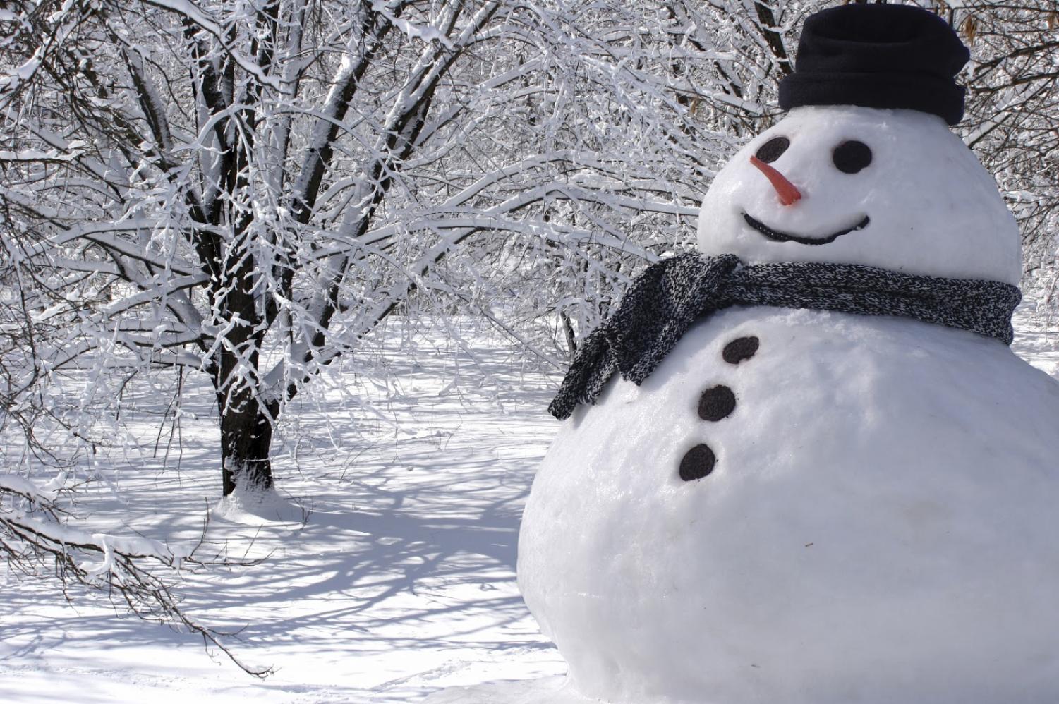 Snow Day