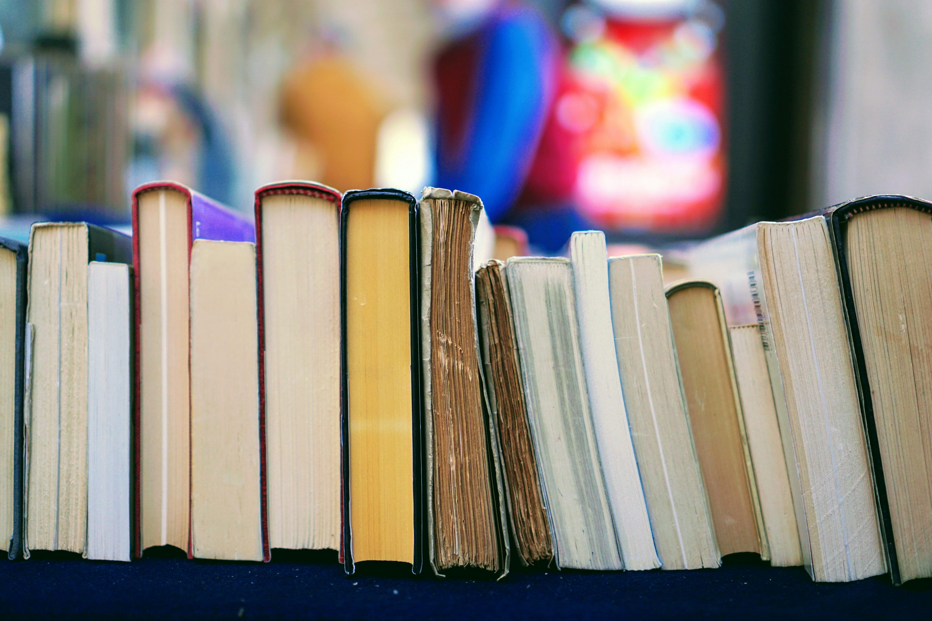 Local Library Hosts Weekend Book Fair